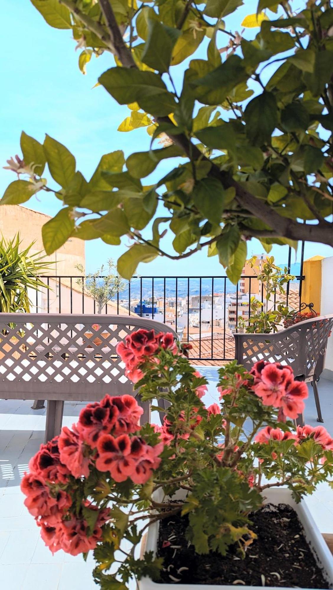 Los Canos II - Calm Home - Option Cheap Parking *